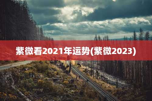 紫微看2021年运势(紫微2023)