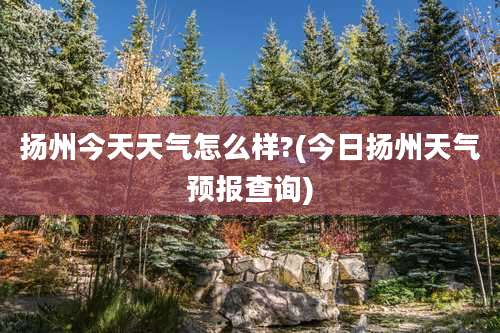 扬州今天天气怎么样?(今日扬州天气预报查询)