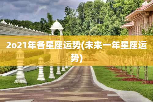 2o21年各星座运势(未来一年星座运势)