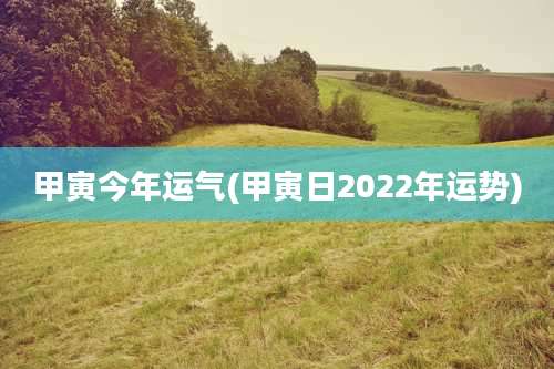 甲寅今年运气(甲寅日2022年运势)