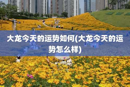 大龙今天的运势如何(大龙今天的运势怎么样)