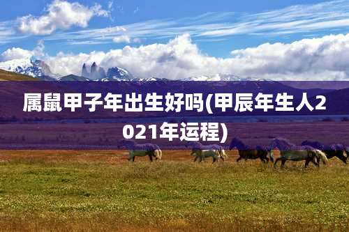属鼠甲子年出生好吗(甲辰年生人2021年运程)
