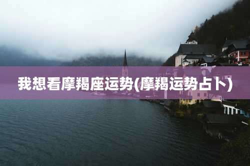 我想看摩羯座运势(摩羯运势占卜)