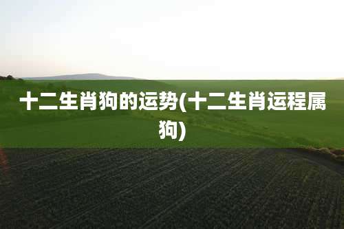 十二生肖狗的运势(十二生肖运程属狗)