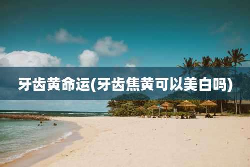 牙齿黄命运(牙齿焦黄可以美白吗)