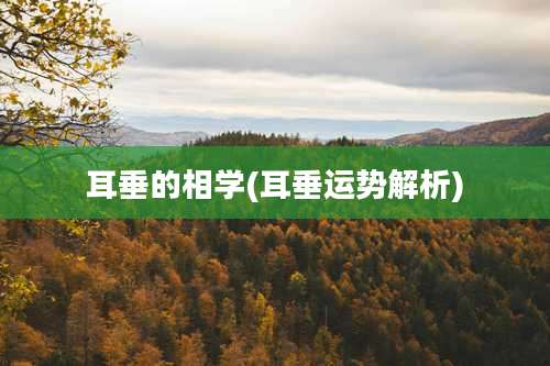 耳垂的相学(耳垂运势解析)