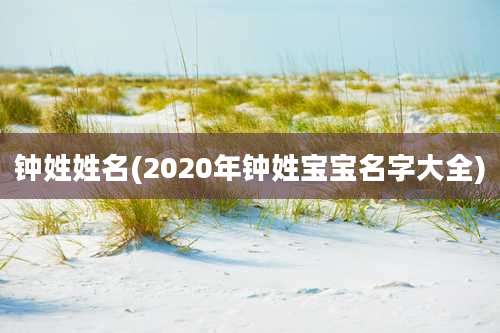 钟姓姓名(2020年钟姓宝宝名字大全)