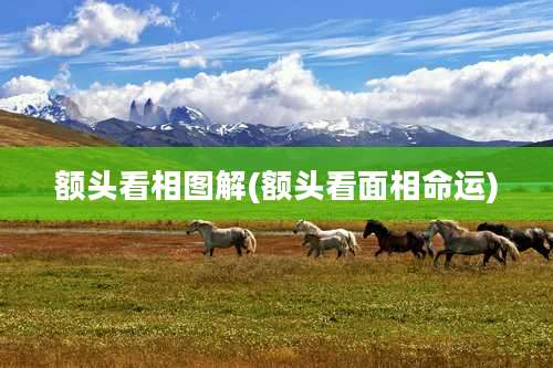 额头看相图解(额头看面相命运)