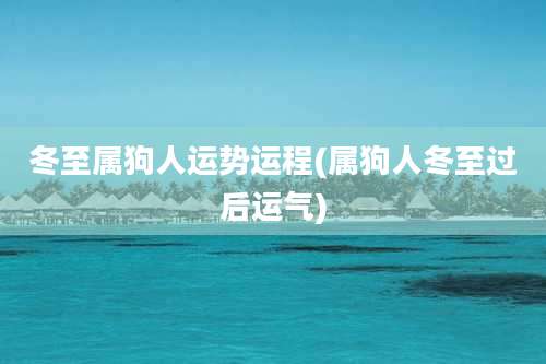 冬至属狗人运势运程(属狗人冬至过后运气)