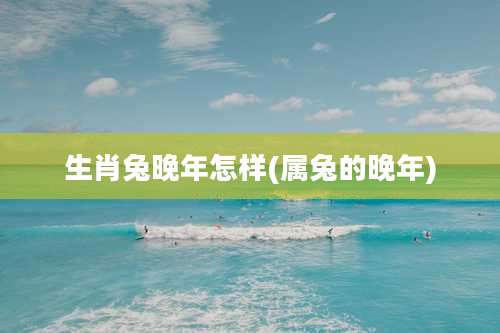 生肖兔晚年怎样(属兔的晚年)