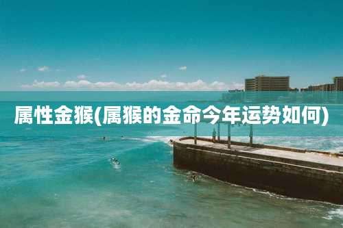属性金猴(属猴的金命今年运势如何)