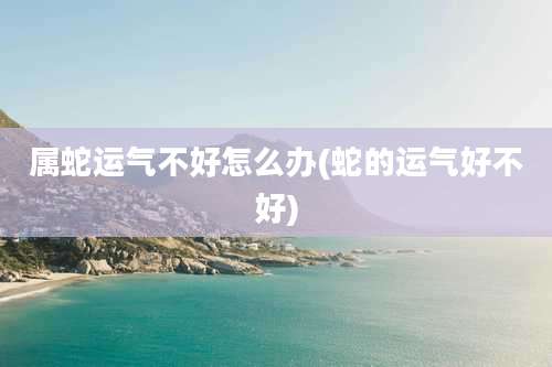 属蛇运气不好怎么办(蛇的运气好不好)