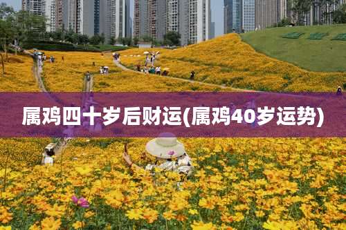 属鸡四十岁后财运(属鸡40岁运势)