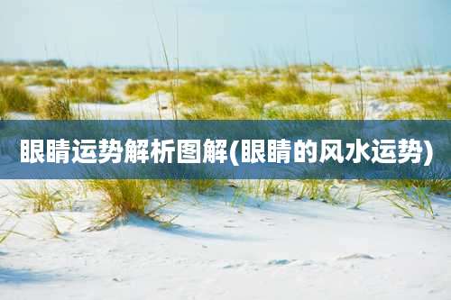 眼睛运势解析图解(眼睛的风水运势)