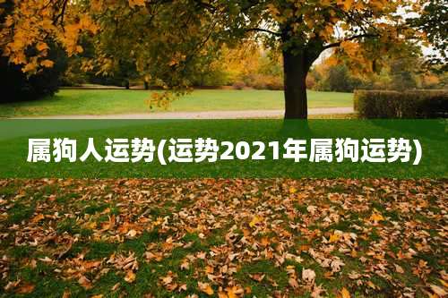 属狗人运势(运势2021年属狗运势)