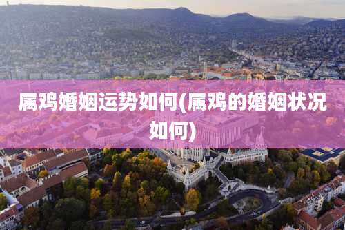 属鸡婚姻运势如何(属鸡的婚姻状况如何)