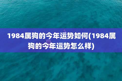 1984属狗的今年运势如何(1984属狗的今年运势怎么样)